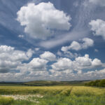 Cranborne Chase National Landscape Annual Forum 2026